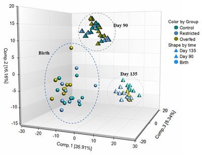 Maternal Restricted- and Over-Feeding During Gestation Result in Distinct Lipid and Amino Acid Metabolite Profiles in the Longissimus Muscle of the Offspring